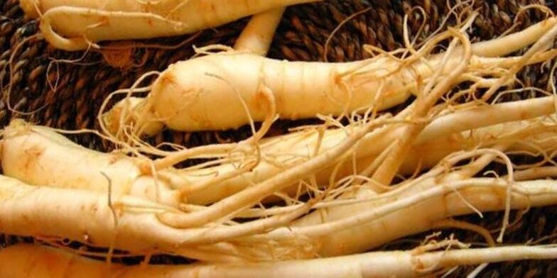 ρίζα ginseng για αύξηση της ισχύος